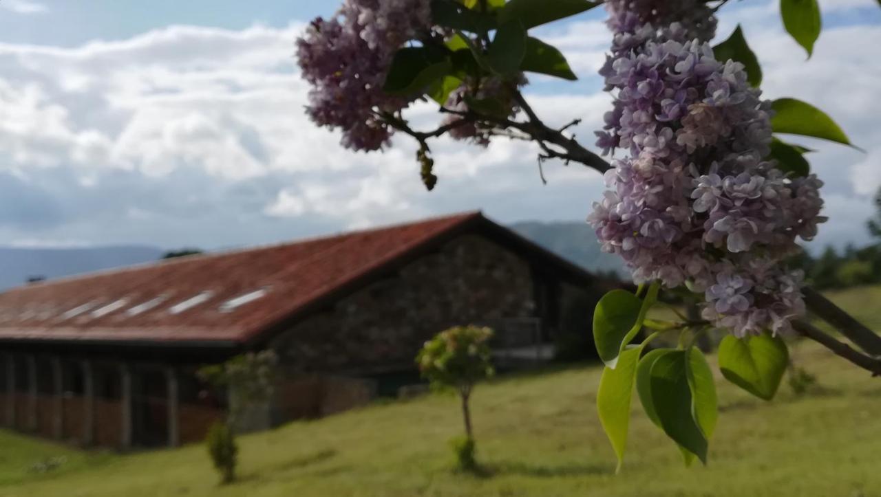Отель Izan Puerta De Gredos Эль-Барко-де-Авила Экстерьер фото